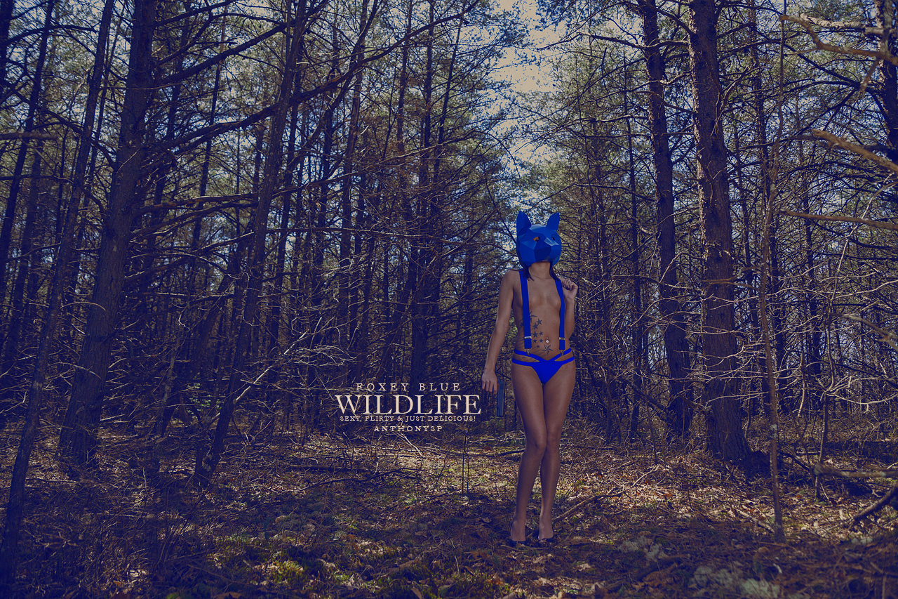 “WildLife” concept 2015